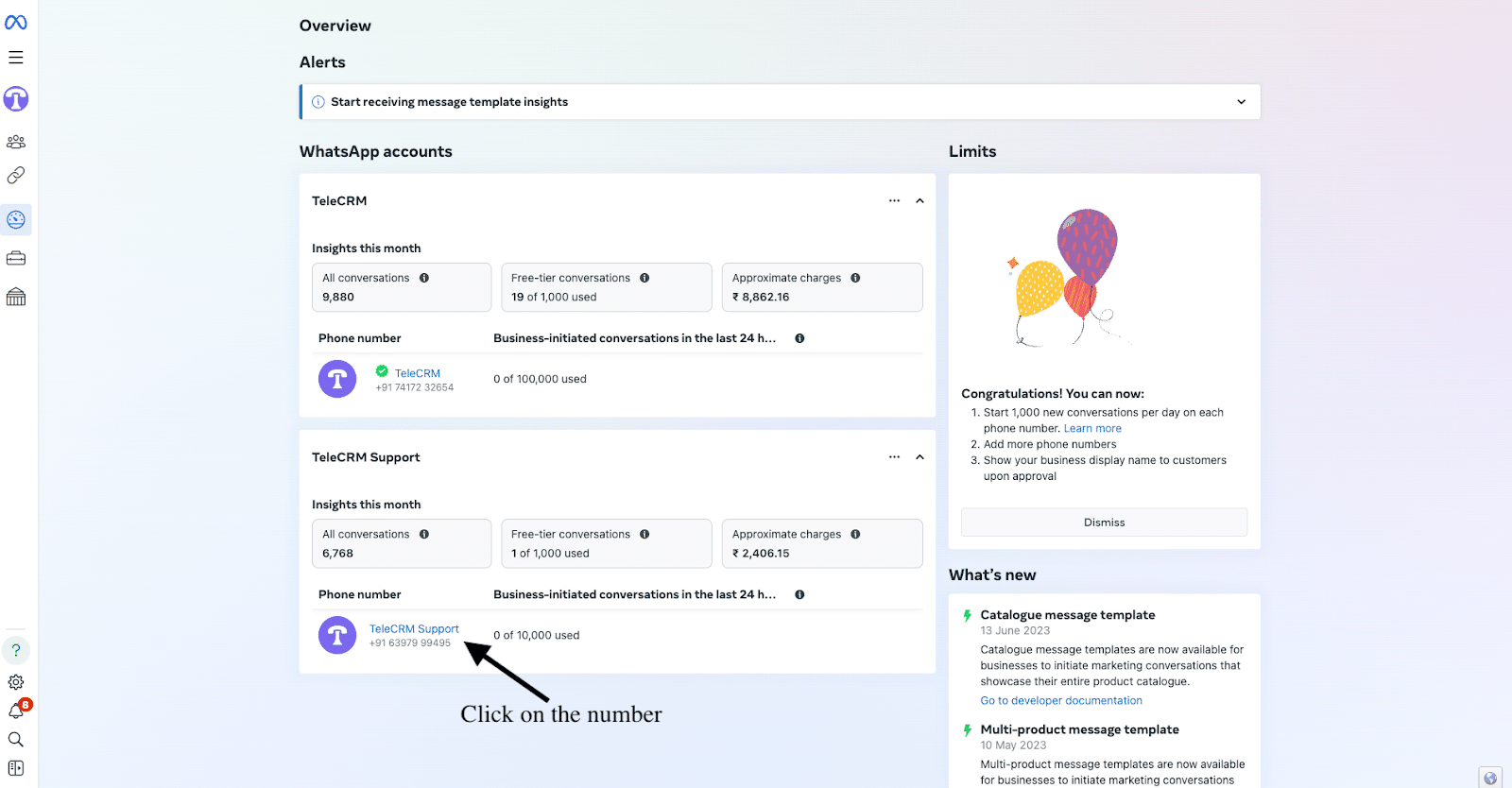 2 Guaranteed Ways to Get WhatsApp Green Tick Verification 5 WhatsApp Business manager overview tab