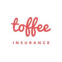 17 Best Insurtech Companies in India Transforming the Insurance Industry 13 Toffee Insurance - insurtech company toffee insurance